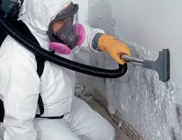 Best Mold Damage Restoration  in Hauppauge, NY